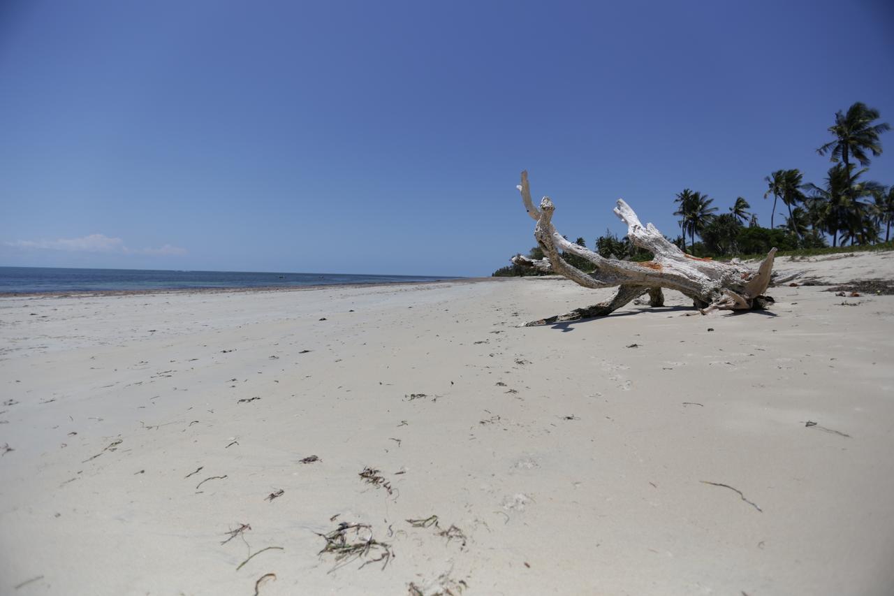 The Beach Crab Resort Pangani المظهر الخارجي الصورة